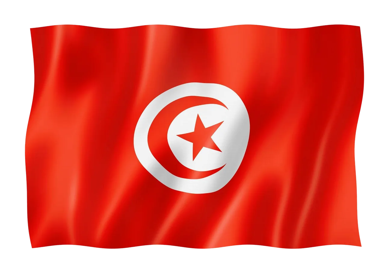 Waving Tunisia flag