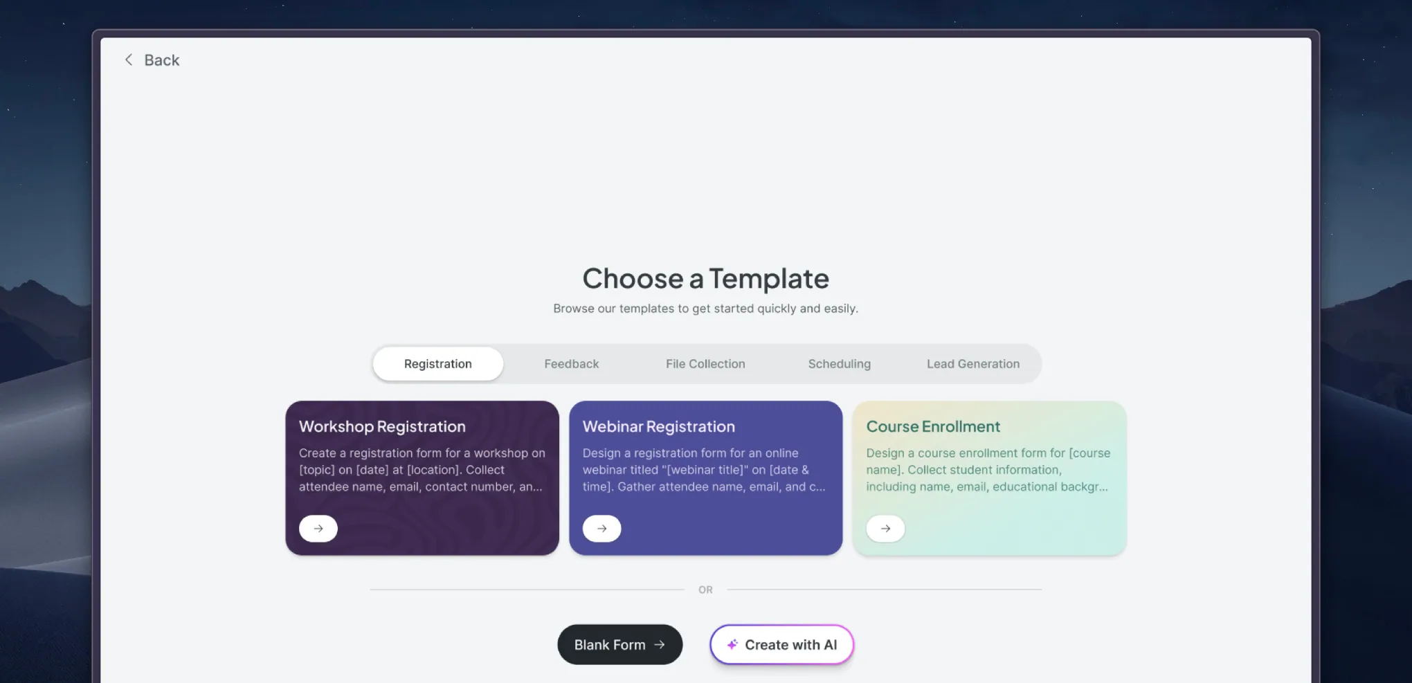 zinq image 2